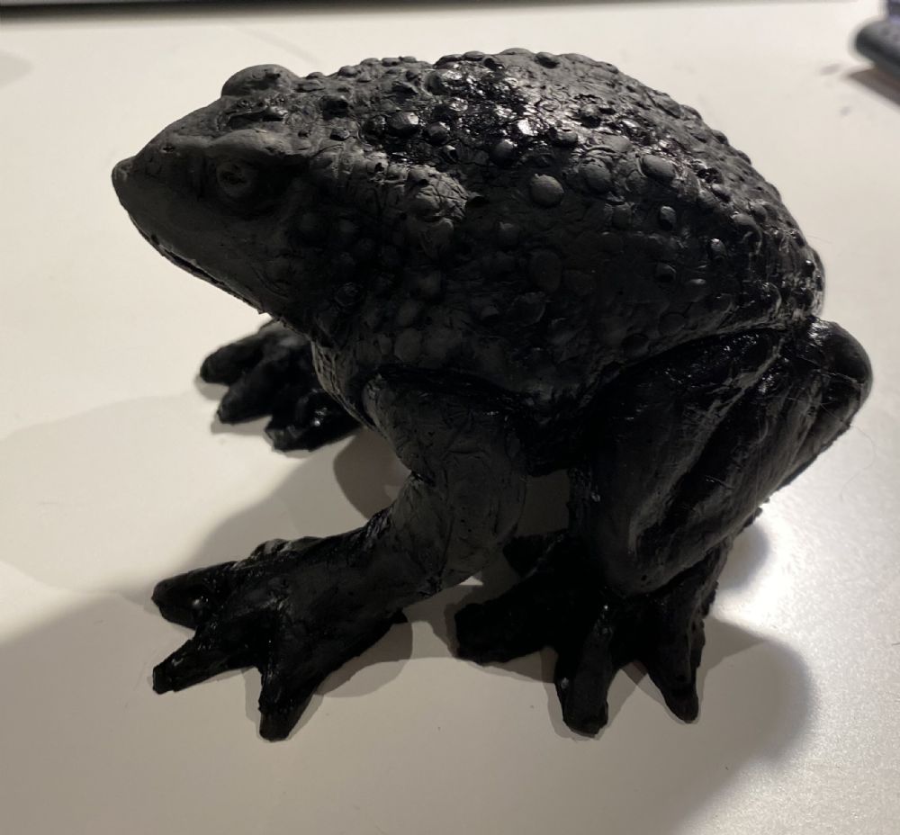 UN CRAPAUD DANS LA GORGE (A TOAD IN THE THROAT) by Cecilia Bullo  at deVeres Auctions